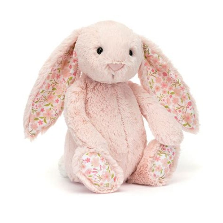 Bunny十三店とは？魅力・特徴・人気の理由を徹底解説